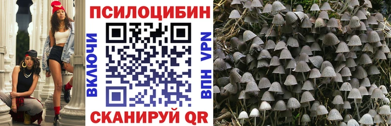 Псилоцибиновые грибы Cubensis Ноябрьск