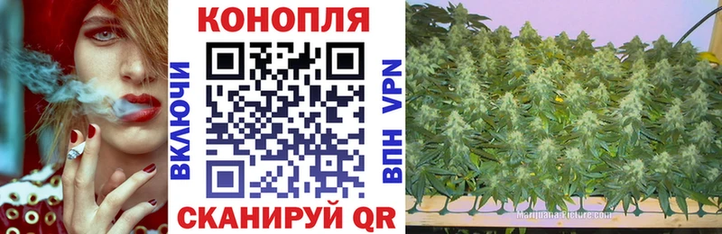 где купить Ноябрьск Конопля индика